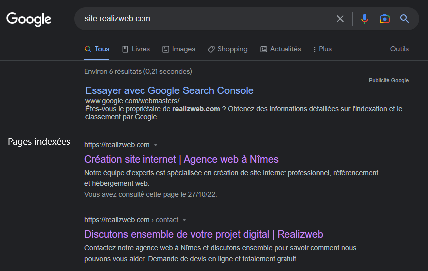 Exemple pages indexées moteur de recherche google